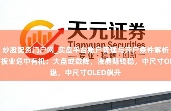 炒股配资门户网_实盘平台账户管理与开户条件解析 2026面板业危中有机：大盘或微降，液晶赚钱稳，中尺寸OLED飙升